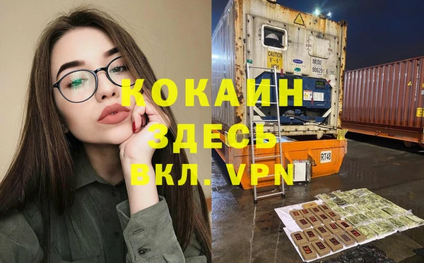 мяу мяу мука Аркадак