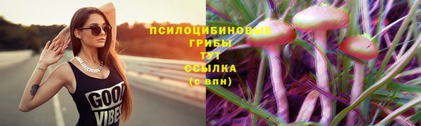 прущий лед Арсеньев