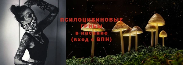 спиды Переславль-Залесский