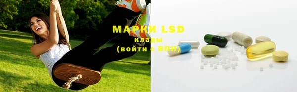 мяу мяу мука Аркадак