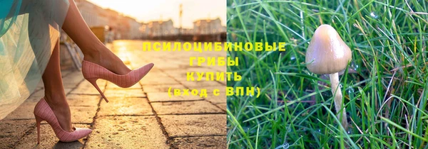 прущий лед Арсеньев