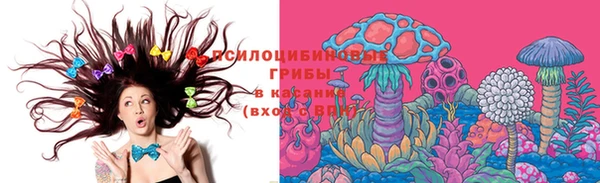 прущий лед Арсеньев