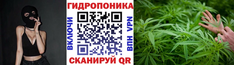 Бошки марихуана планчик  мориарти официальный сайт  Ишимбай  kraken ссылки 